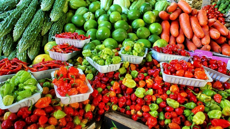 epicerie-COMPS SUR ARTUBY-min_farmers-market-1329008